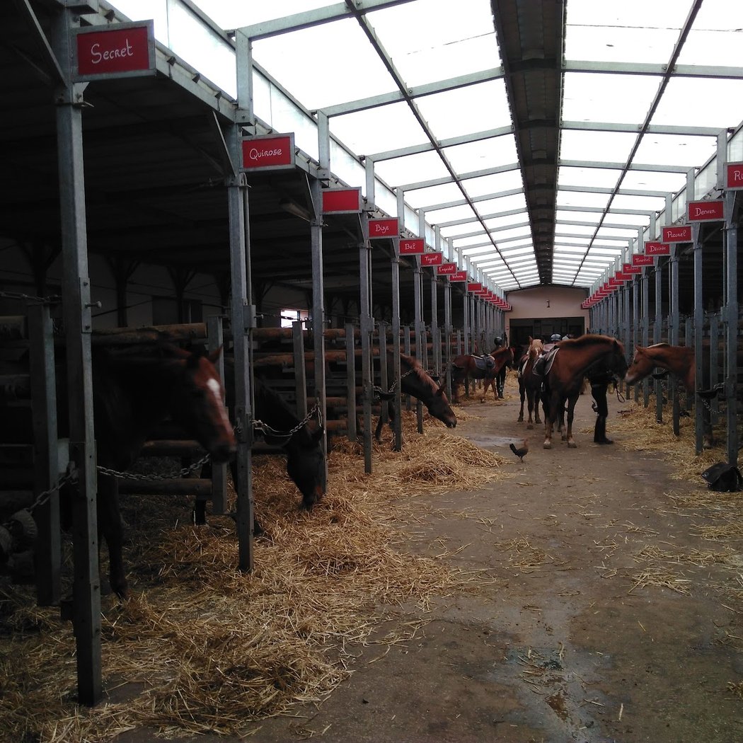 Equestrian Center of Chaville 2